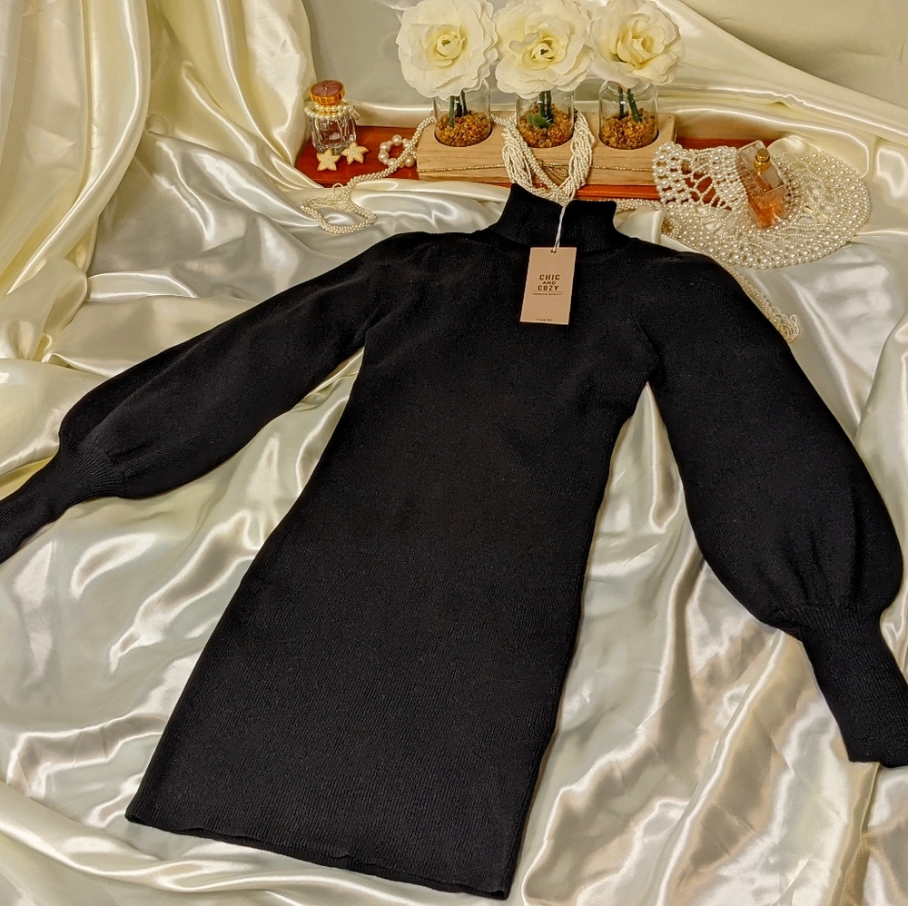 Puffed Sleeve Turtleneck Dress